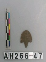 藏品(帶鋌打製石鏃)的圖片